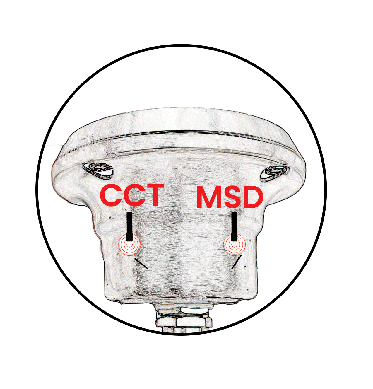 Walt MSDPRO/CCT Underwater Accent • 316 Stainless Steel