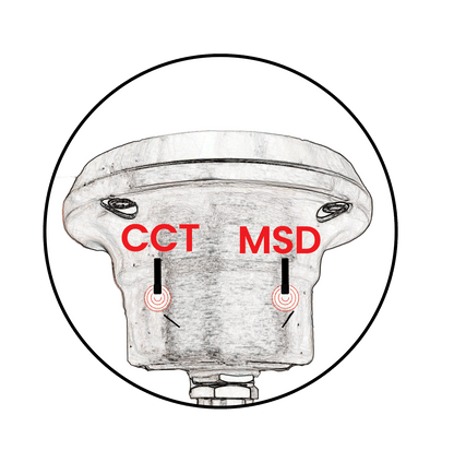 Walt MSDPRO/CCT Underwater Accent • 316 Stainless Steel